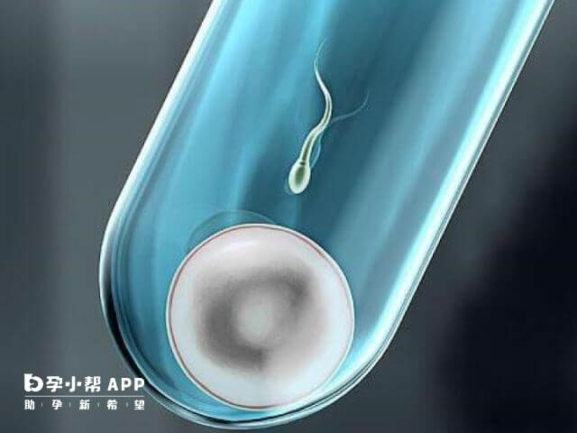 股票配资公司